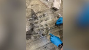 Легально-нелегальное хобби