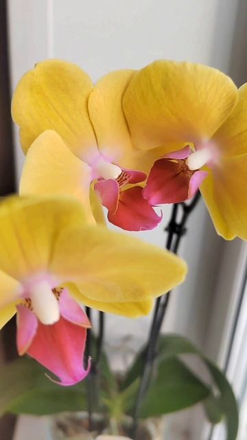 20-02-2026 смотреть онлайн