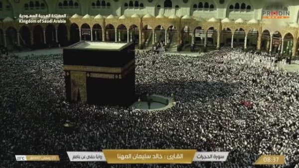 20.02.2026г. Прямой эфир с Мекки 🕋Makkah Live | Live Masjid Al Haram| ПроДинМедиа | ProDinMedia