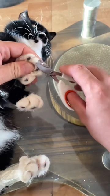 Лайф хак 😜