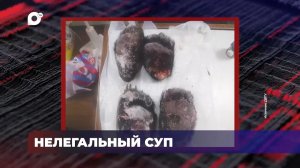 В порядке! / Долг перед бюджетом / Нелегальный суп / 20.02.26