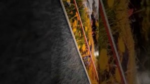 Всем добрый вечер 👍