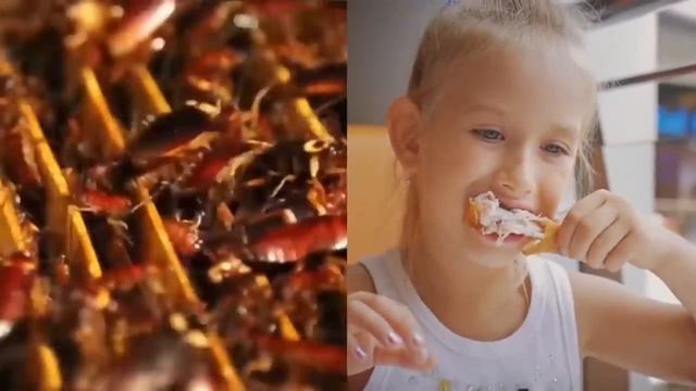 Что будет если ПИТАТЬСЯ насекомым смотреть онлайн