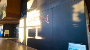 НЬЮ-ЙОРК США 2026: Места, где город замедляется - тихая прогулка