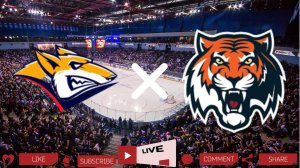 Прямая трансляция хоккейного матча Металлург - Амур