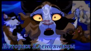 Разбор/Почему кленовницы считают жестокой? (Это не правда)