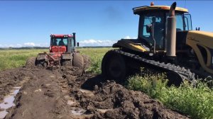 Грязевой плен. Трактора не могут выбраться из грязи без помощи.