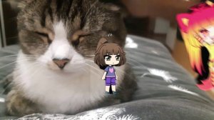 я нёс могу бросить катюху и анимки 🥺(дайте актив прошууу!!!)