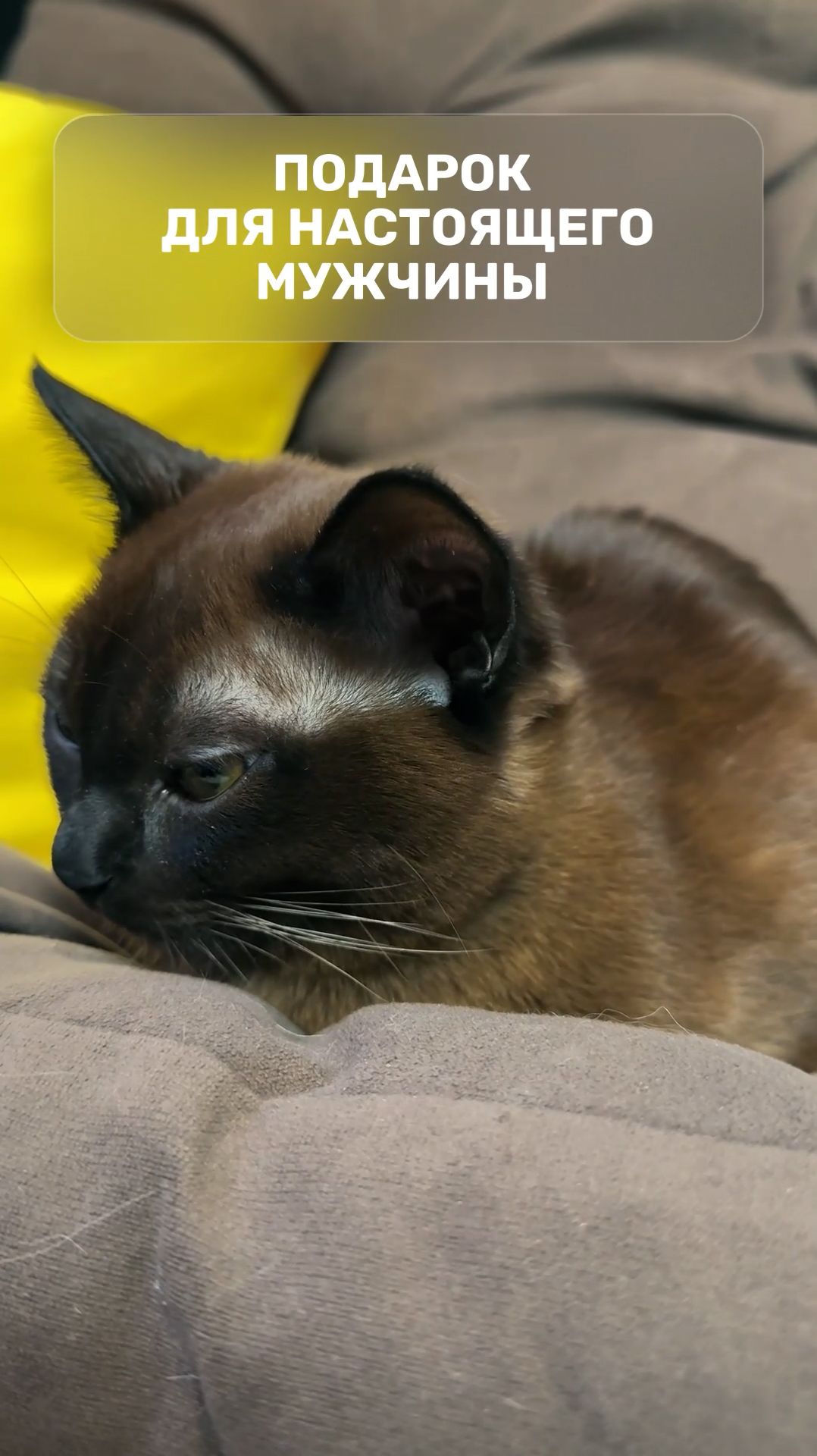 Подарок для настоящего мужчины