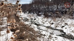 🌡 Дождь и мокрый снег ждут уссурийцев на этих выходных