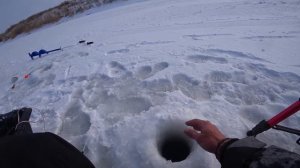 КРУПНЫЕ КАРАСИ ПОДНИМАЮТ КИВКИ!! Зимняя рыбалка