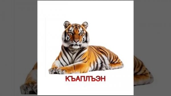 Изучайте родной язык вместе с нами (животные)