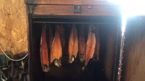 форель холодного копчения