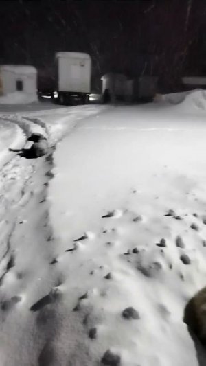 1000010294.mp4Привет с Бурятии.20.02.2026г.