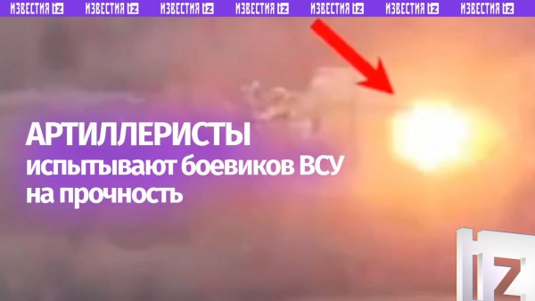 Размотали как следует: артиллерия «Юга» не щадит врага на Северском направлении