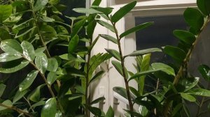 Чем пахнет женская душа...