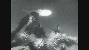 "Оно прилетело из открытого космоса" (оцифровка 8-мм. киноплёнки)