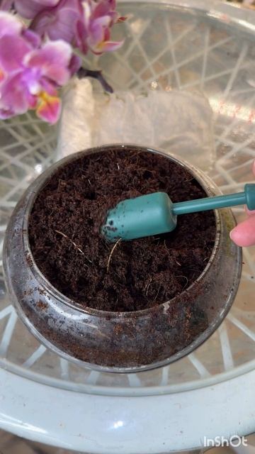 Пора сеять перцы на рассаду с ЦИМУС Арт: 342776782 смотреть онлайн