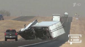 Видео недели. Происшествия. Человек и закон. Фрагмент выпуска от 20.02.2026