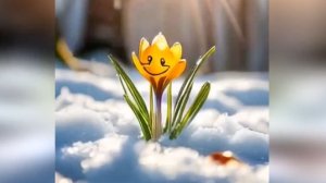 Малютка подснежник 2