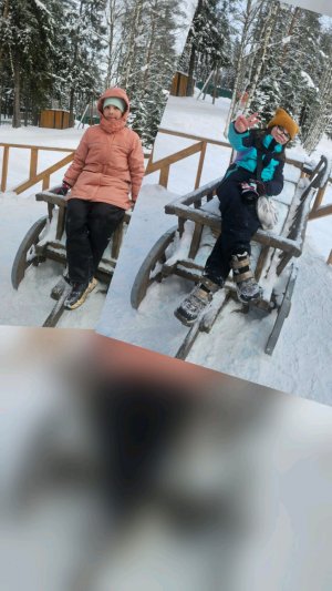 тупо мы едем