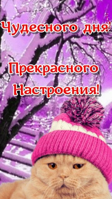 С добрым зимним утром!  Красивая музыкальная открытка! #доброеутро #музыкальнаяоткрытка