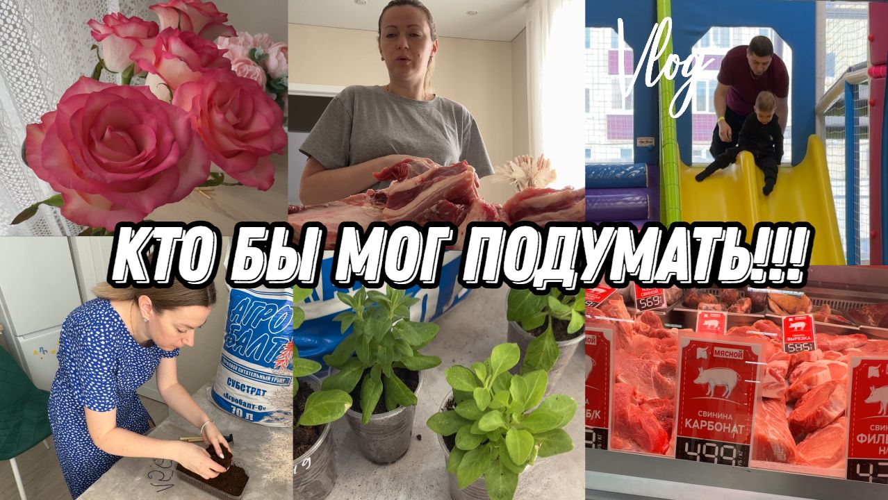 VLOG: Занялась РАССАДОЙ с АГРОБАЛТ//Купили МЯСО//Идем в ЧИКИ-РИКИ//Готовим БИФШТЕКС//Сажаю ПОМИДОРЫ смотреть онлайн