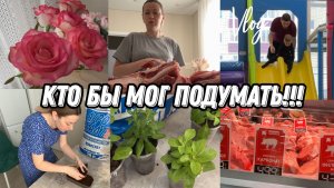 VLOG: Занялась РАССАДОЙ с АГРОБАЛТ//Купили МЯСО//Идем в ЧИКИ-РИКИ//Готовим БИФШТЕКС//Сажаю ПОМИДОРЫ