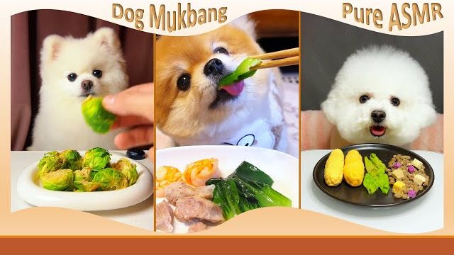 СОБАЧИЙ МУКБАНГ!! ХРУСТЯЩЕЕ ОВОЩНОЕ АССОРТИ 🥬🍤🧀 креветки и сырный цыпленок DogMukbang РЕАКЦИЯ