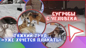 Слёзы на морозе: Почему передержки работают на износ?