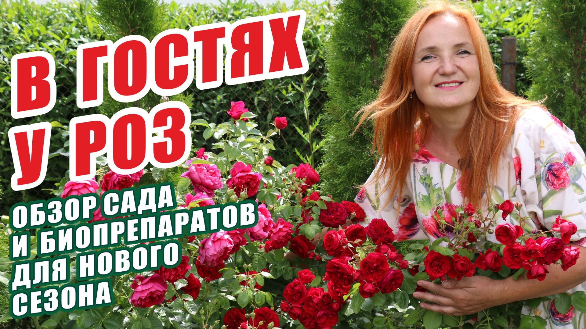 В ГОСТЯХ У РОЗ. ОБЗОР СОРТОВ РОЗ И БИОПРЕПАРАТОВ ДЛЯ НОВОГО СЕЗОНА. РОЗЫ В САДУ. ЛУЧШИЕ СОРТА РОЗ. смотреть онлайн