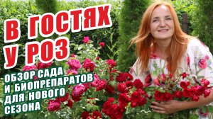 В ГОСТЯХ У РОЗ. ОБЗОР СОРТОВ РОЗ И БИОПРЕПАРАТОВ ДЛЯ НОВОГО СЕЗОНА. РОЗЫ В САДУ. ЛУЧШИЕ СОРТА РОЗ.