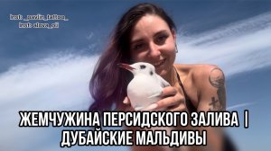 Жемчужина Персидского залива | Дубайские Мальдивы