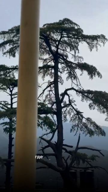 Гималаи ждут ✈️