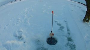 ПОКЛЕВКА ЗА ПОКЛЕВКОЙ. рыбалка на жерлицы.жор щуки.Подводная съемка.