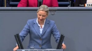 Удар по системе: решение суда шокировало Германию