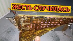 Зацвело Жесть Случилась Опять Затопил Аккумулятор Не получилось Поработать в Доставке