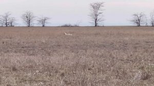 Федора. 20.12.26