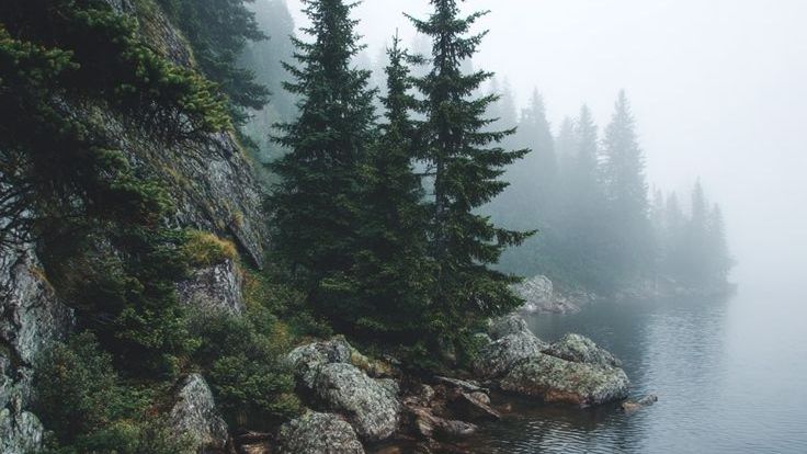 Болото смотреть онлайн