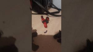 GUEST666(part13)