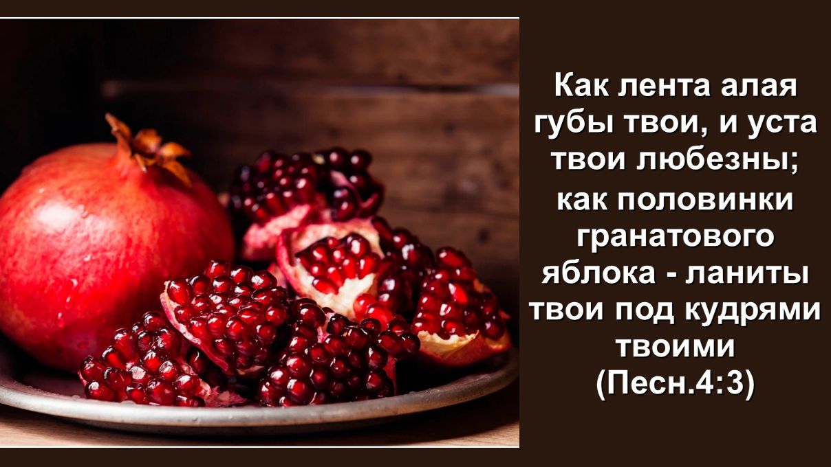 Как лента алая губы твои и уста твои любезны; как половинки гранатового яблока ...  (Песн.4:3)