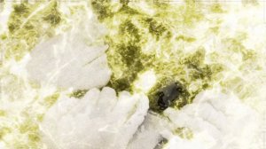 🎵 Здравствуйте, Елена Фролова | Песня-посвящение  |  Красивая, нежная, тонкая