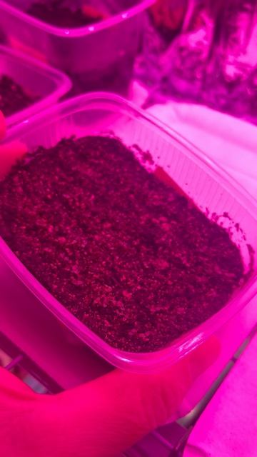 20 февраля смотреть онлайн