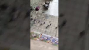 просто Стрим