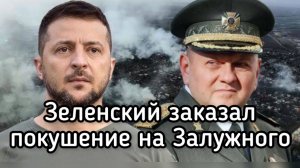 Зеленский заказал УБИЙСТВО Залужного. Сенсационное признание отставного комбрига ВСУ