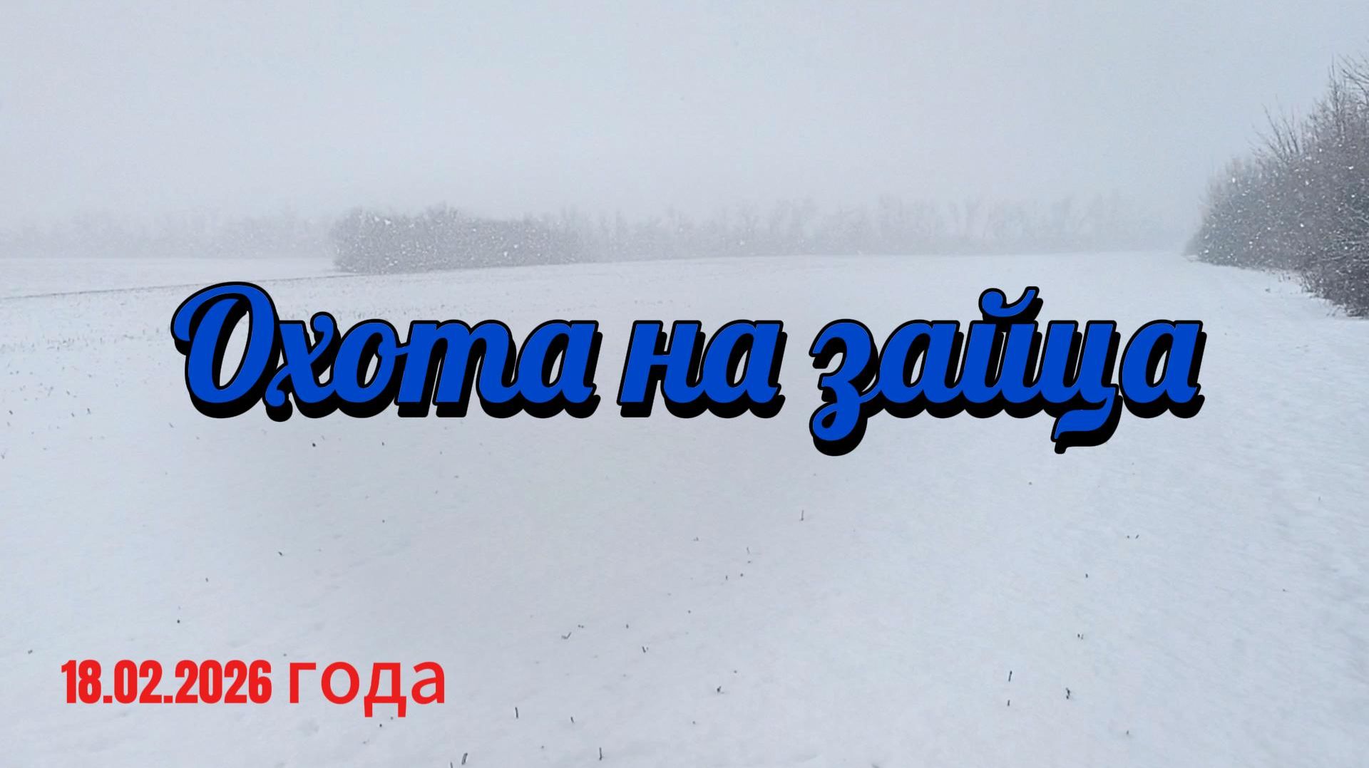 Охота на зайца. смотреть онлайн