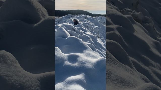 Поход Суворова через Альпы