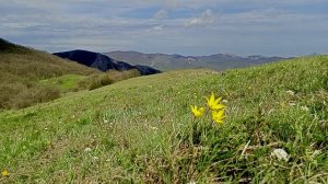 Биюк-Эгерек 2025