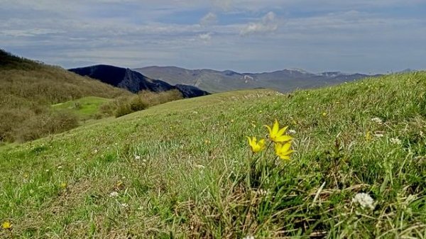 Биюк-Эгерек 2025