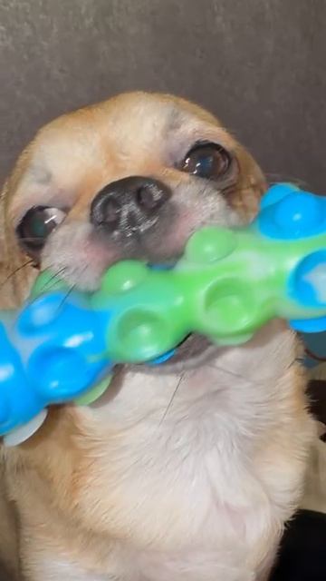 Бросай работу, давай играть. смотреть онлайн